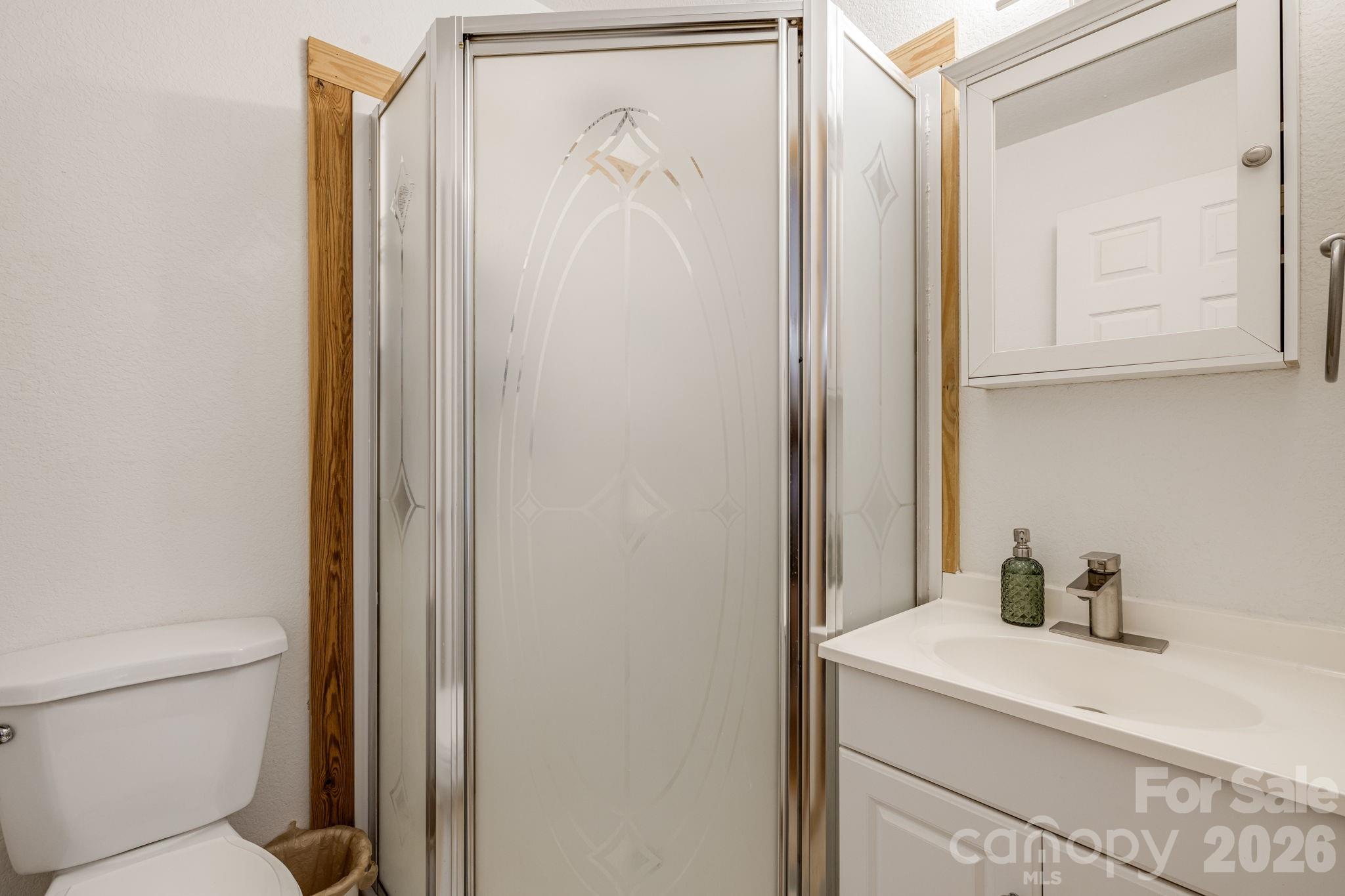 517 Pheasant Street Lake Lure NC 28746