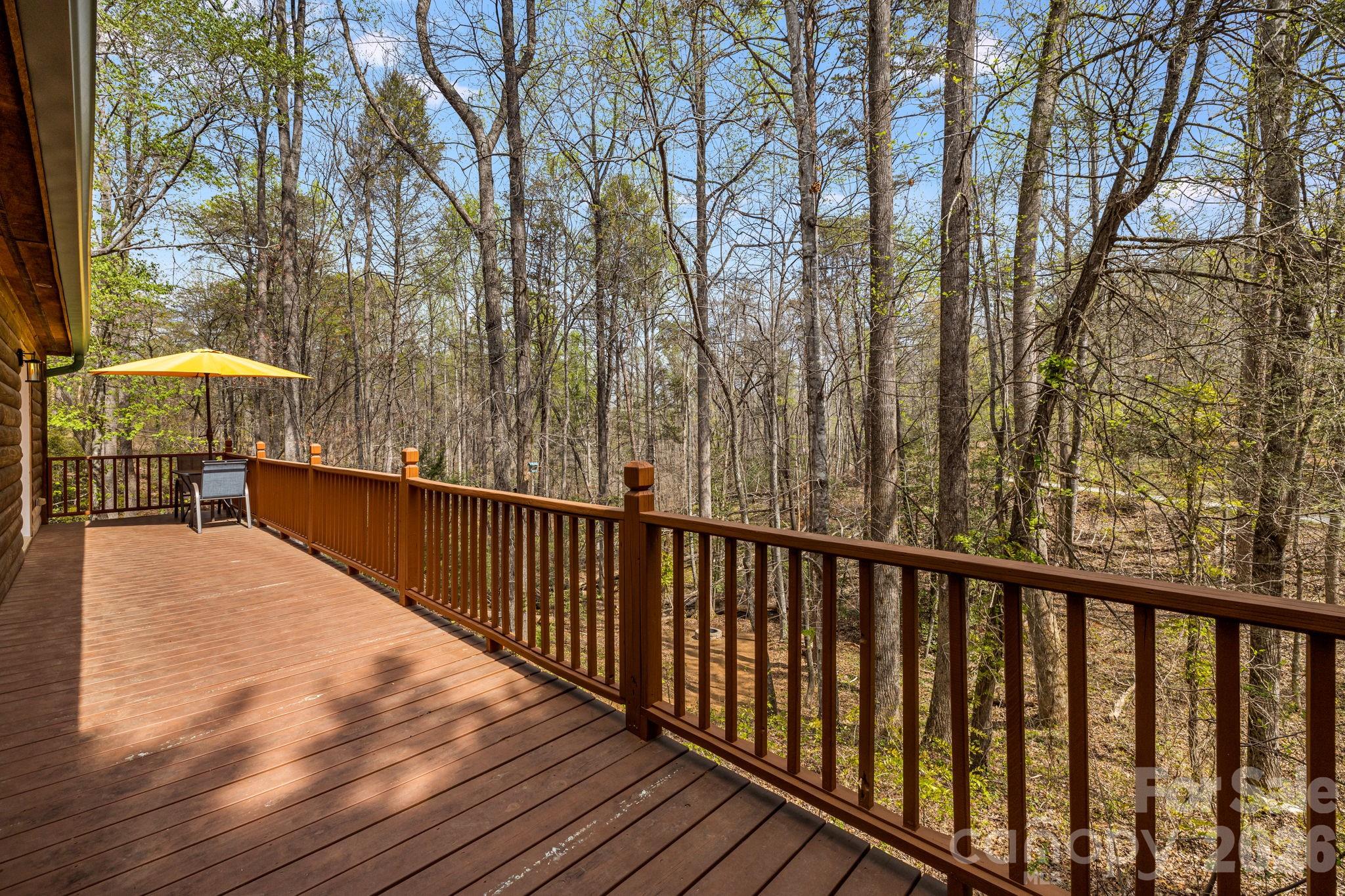 517 Pheasant Street Lake Lure NC 28746