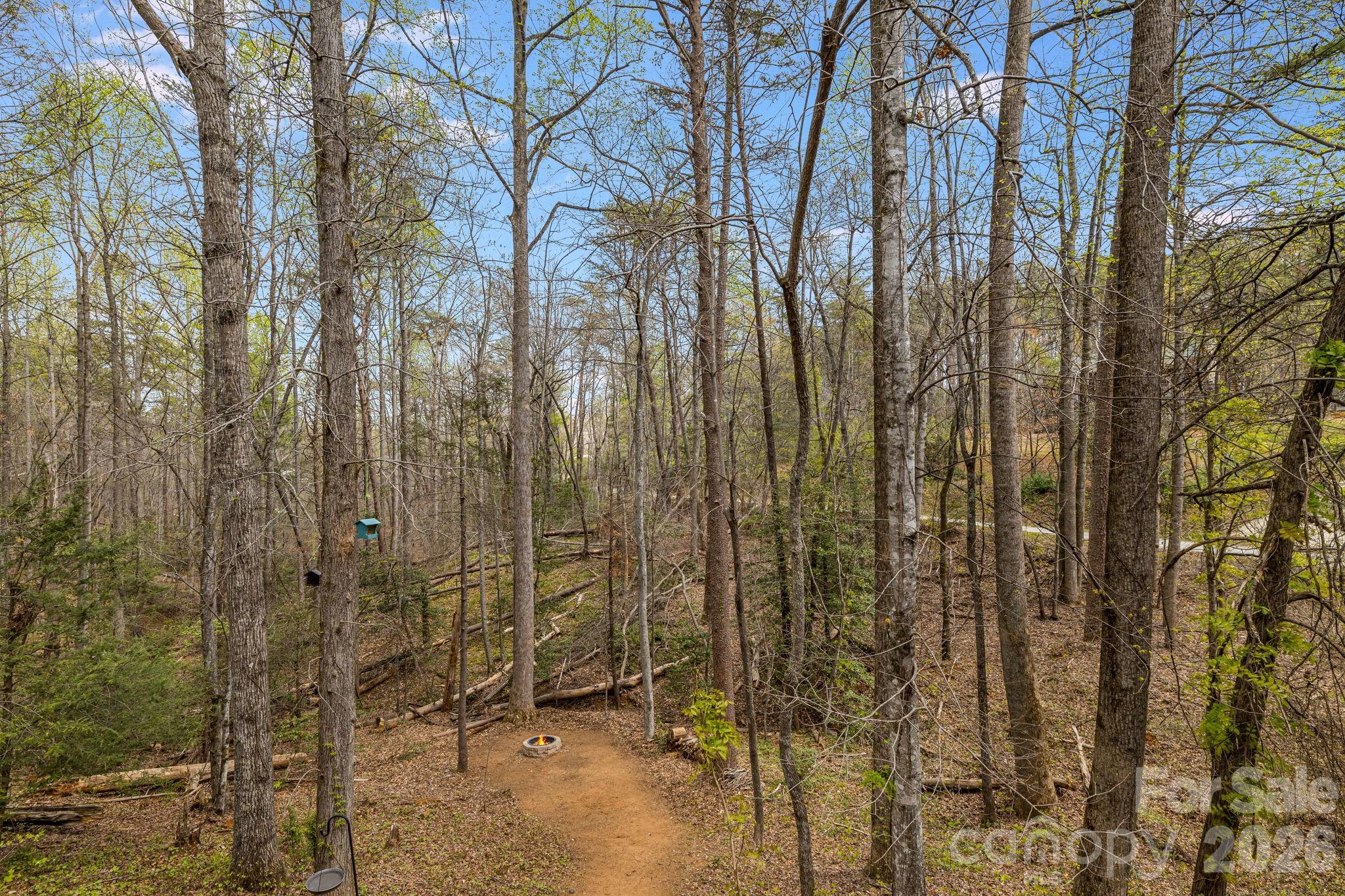 517 Pheasant Street Lake Lure NC 28746