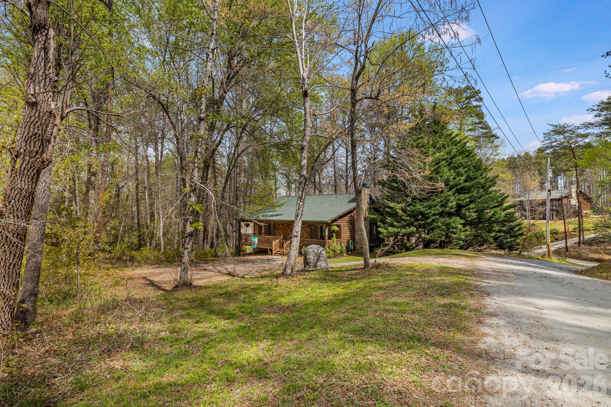 517 Pheasant Street Lake Lure NC 28746