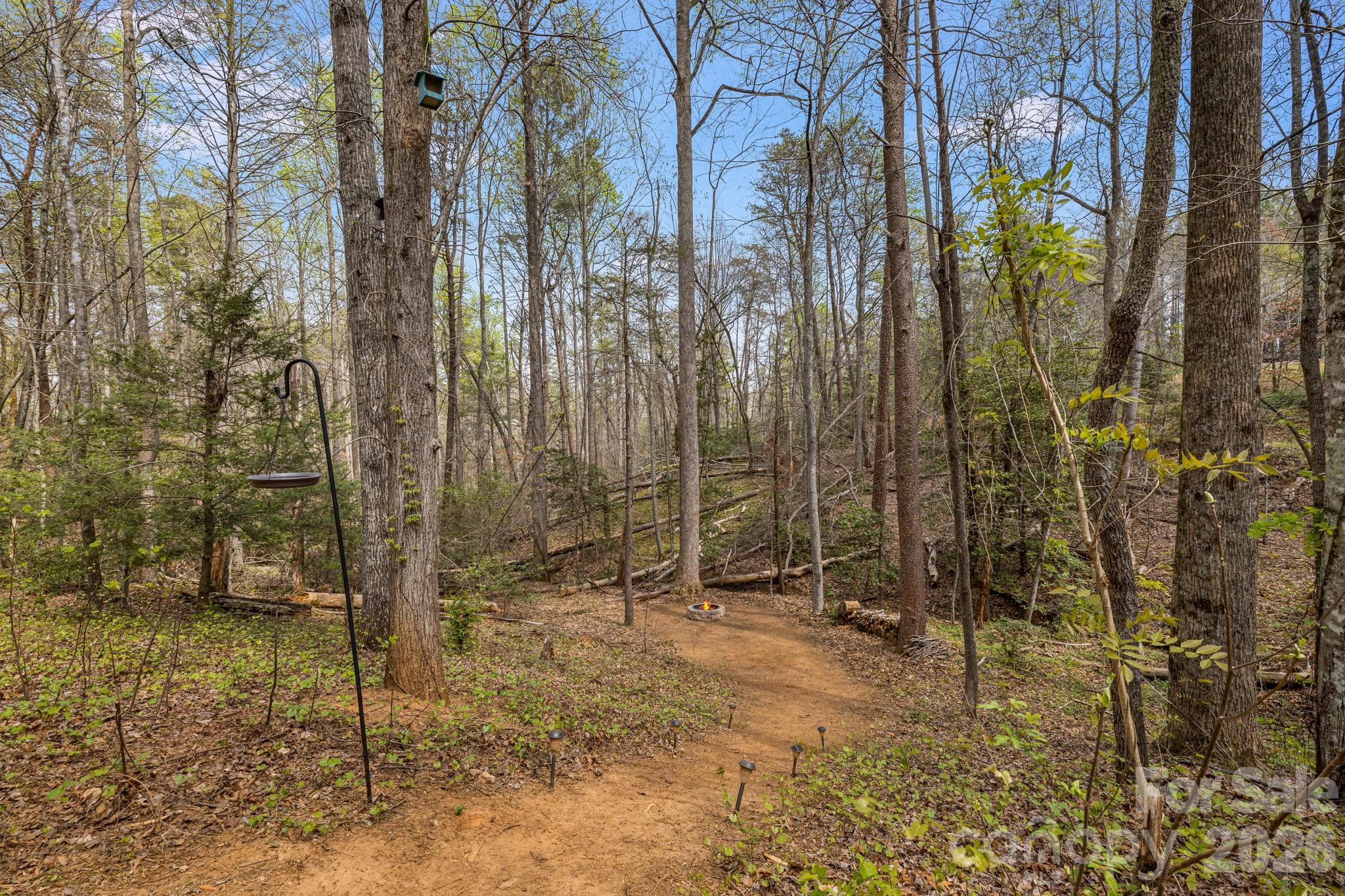 517 Pheasant Street Lake Lure NC 28746