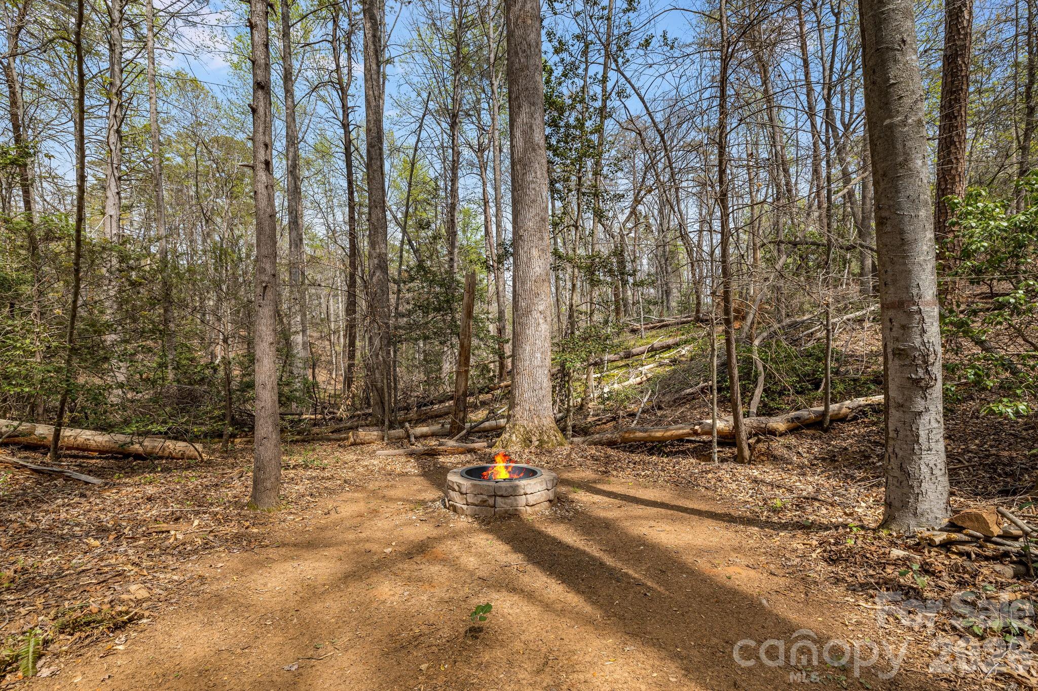 517 Pheasant Street Lake Lure NC 28746
