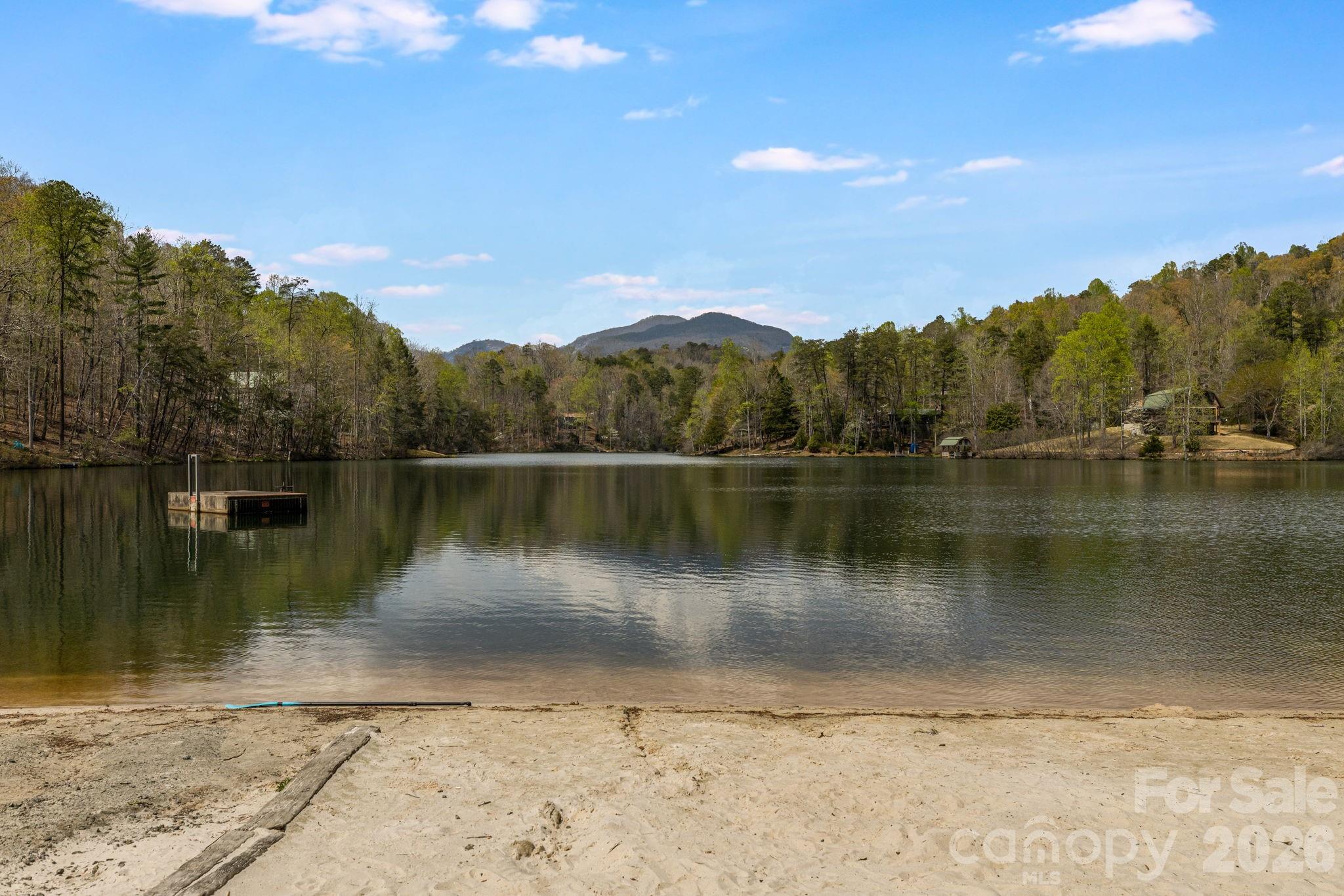 517 Pheasant Street Lake Lure NC 28746