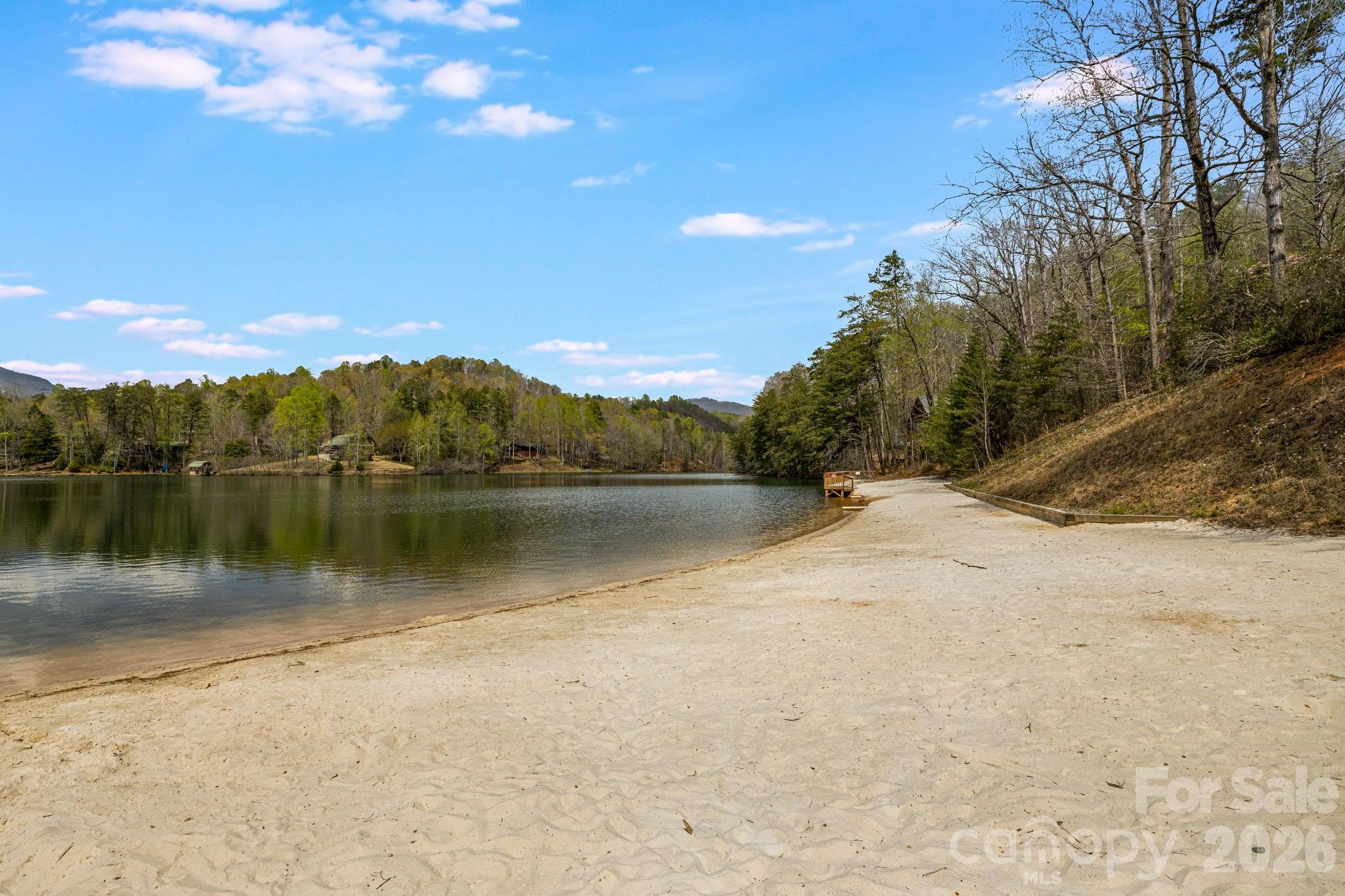 517 Pheasant Street Lake Lure NC 28746