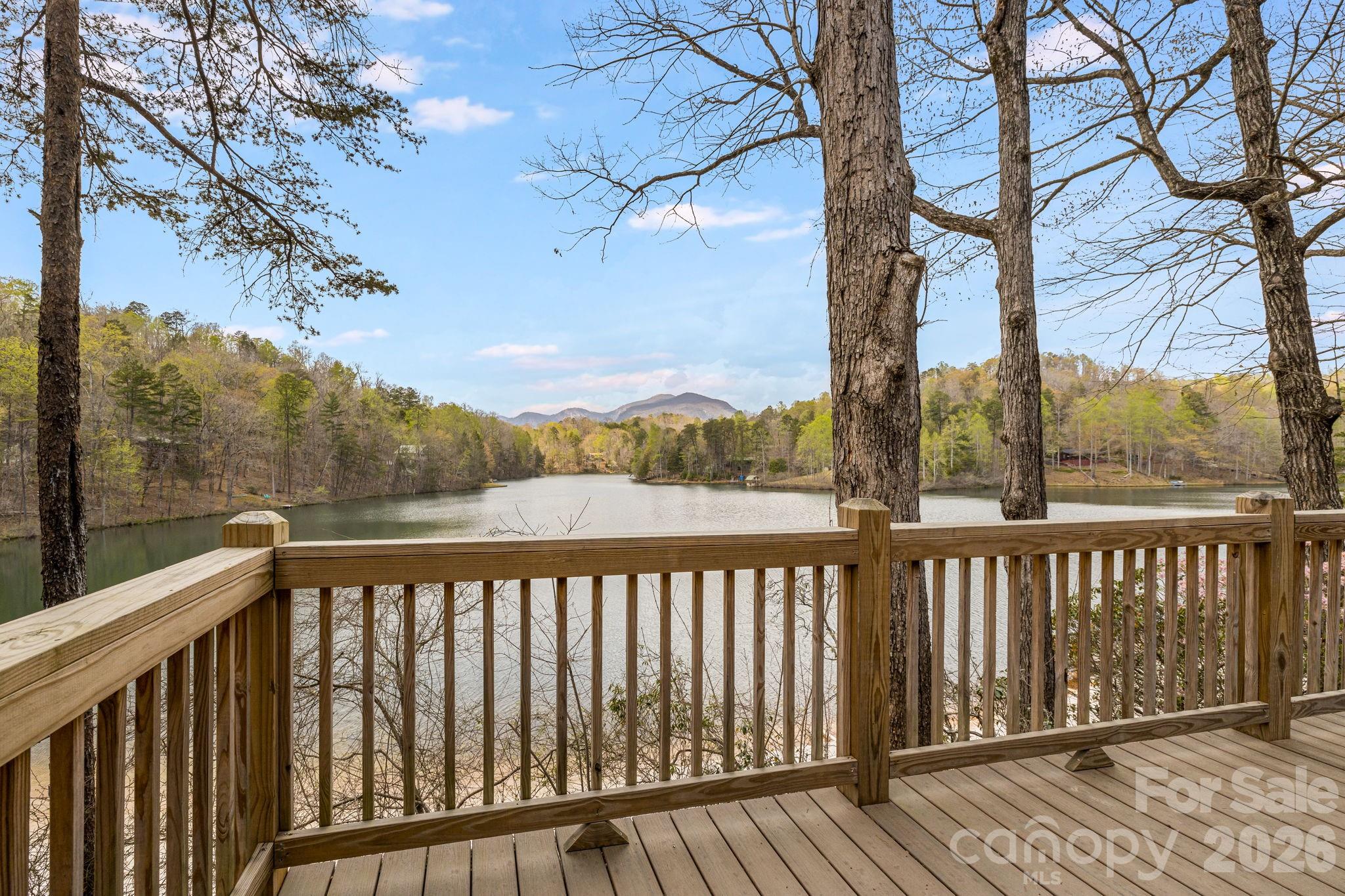 517 Pheasant Street Lake Lure NC 28746