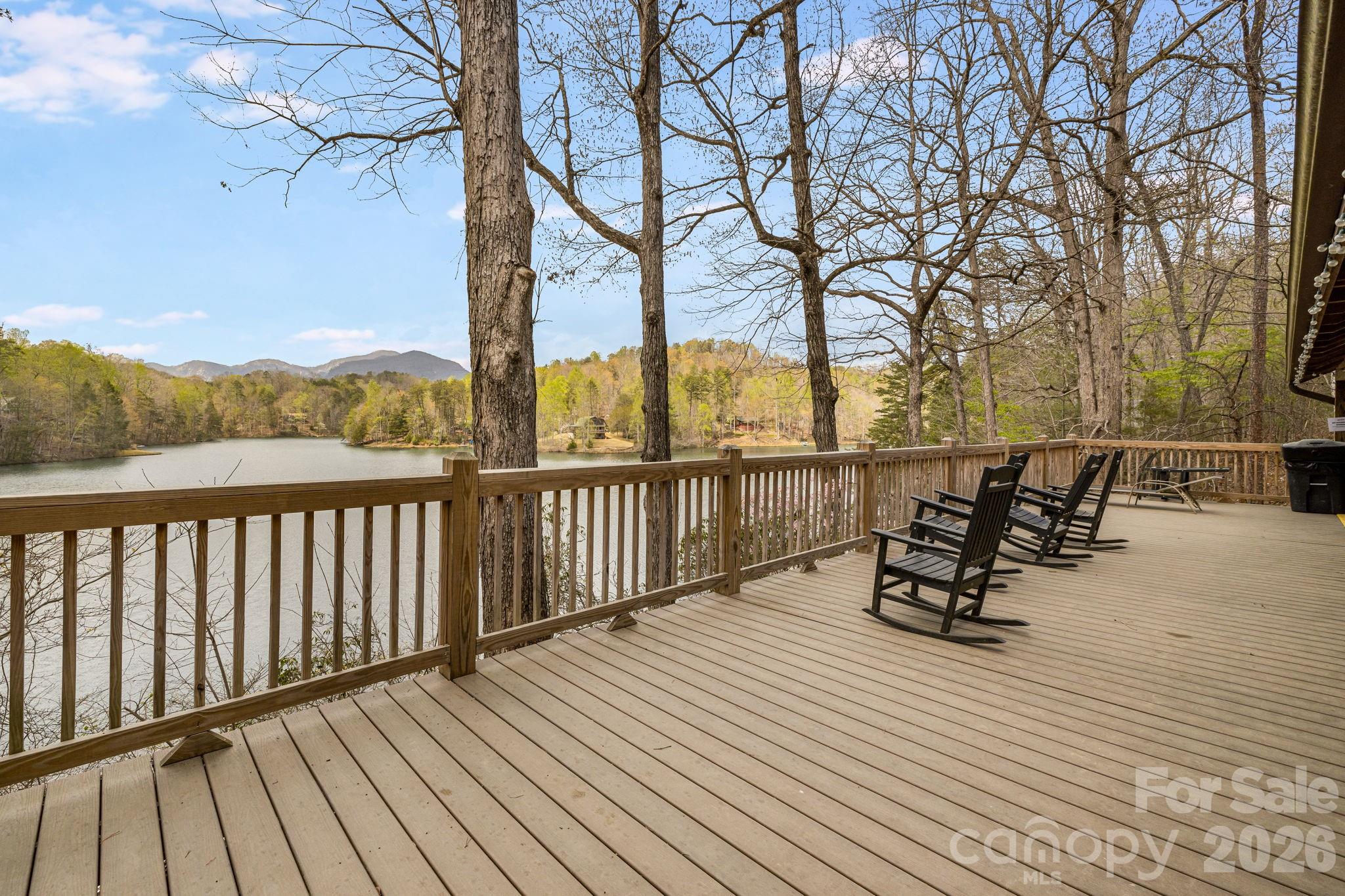 517 Pheasant Street Lake Lure NC 28746