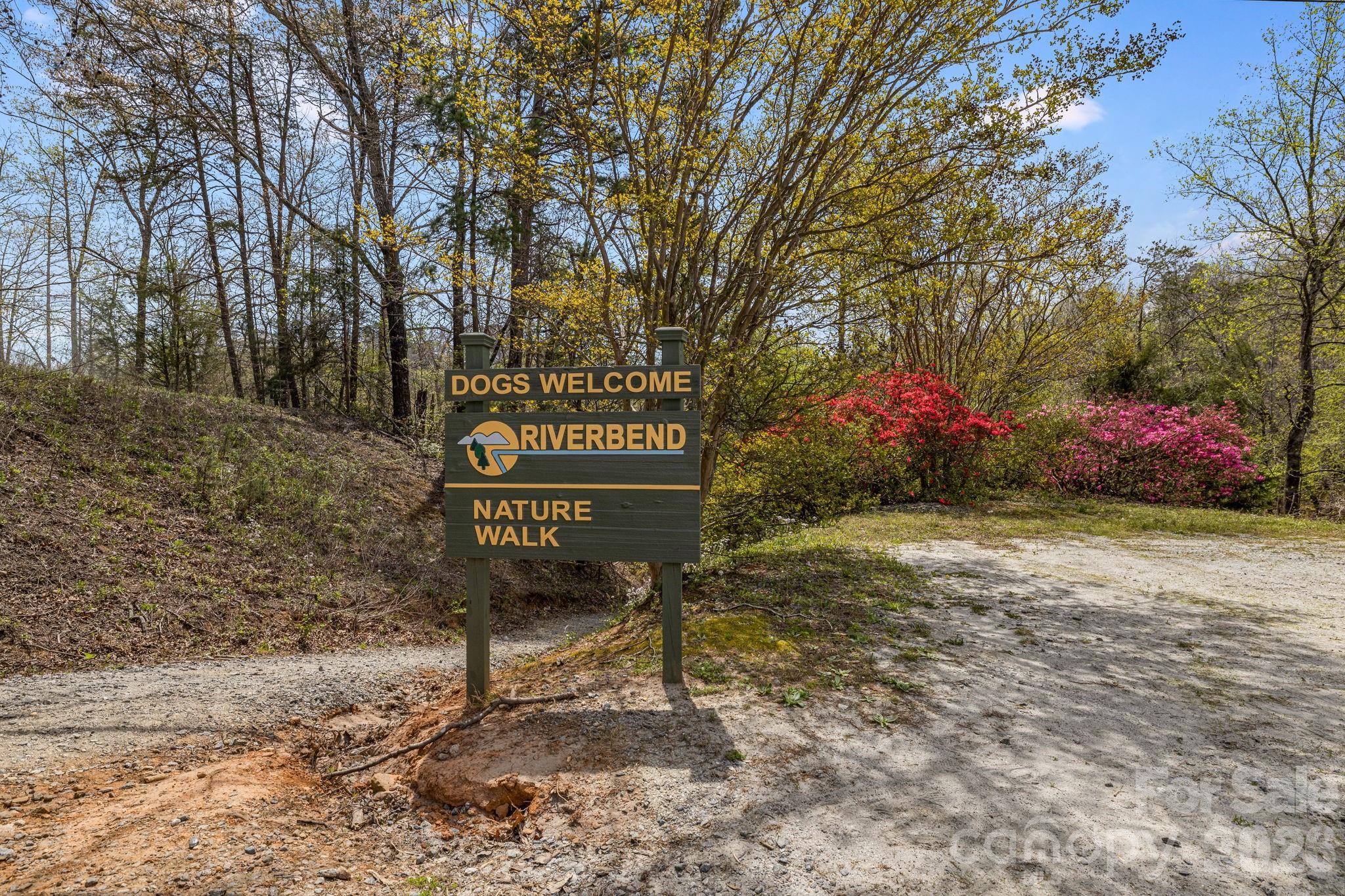 517 Pheasant Street Lake Lure NC 28746