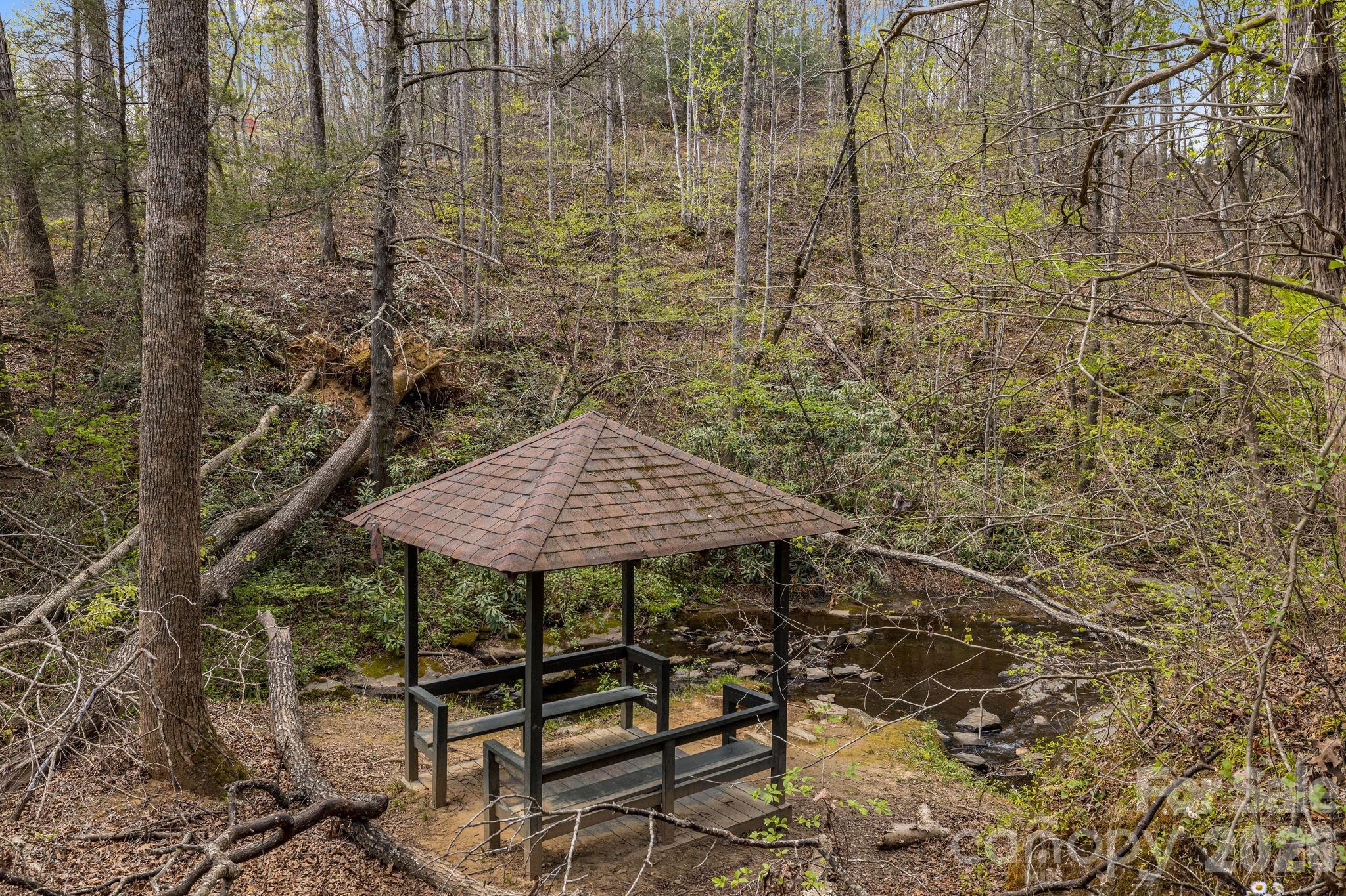 517 Pheasant Street Lake Lure NC 28746