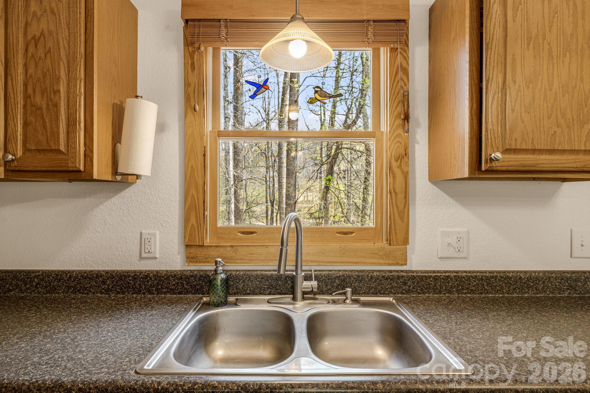 517 Pheasant Street Lake Lure NC 28746