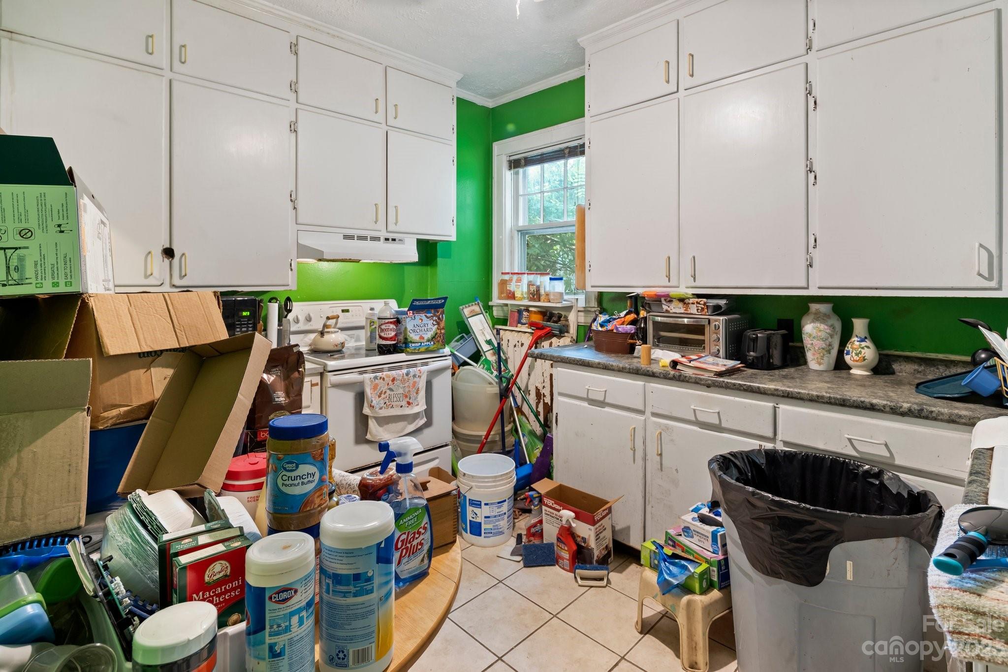 7 Vineyard Place Asheville NC 28804