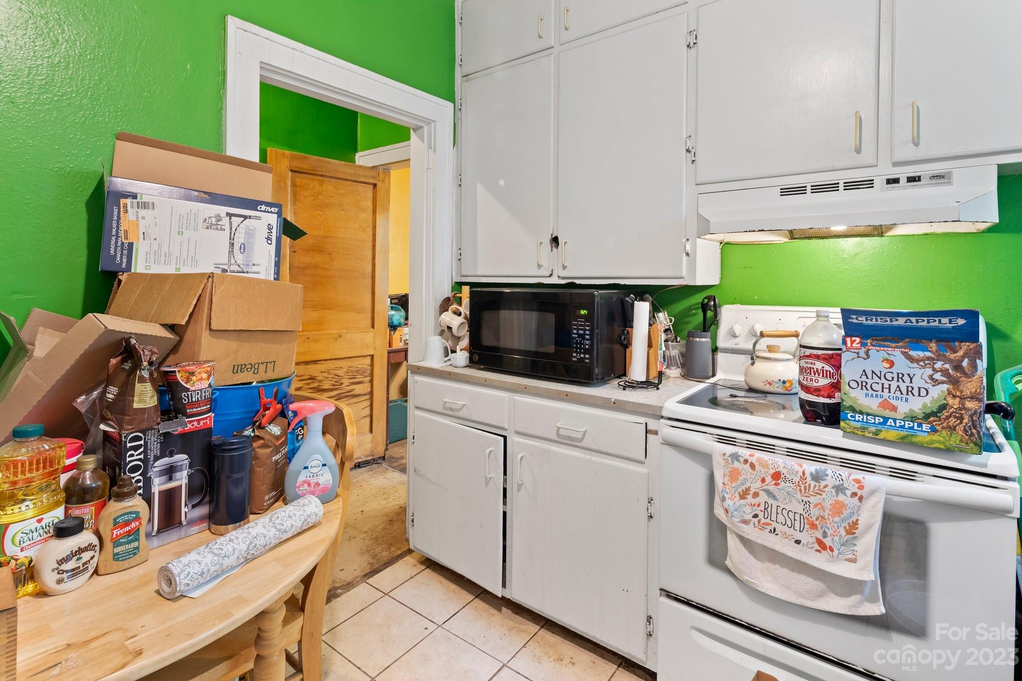 7 Vineyard Place Asheville NC 28804