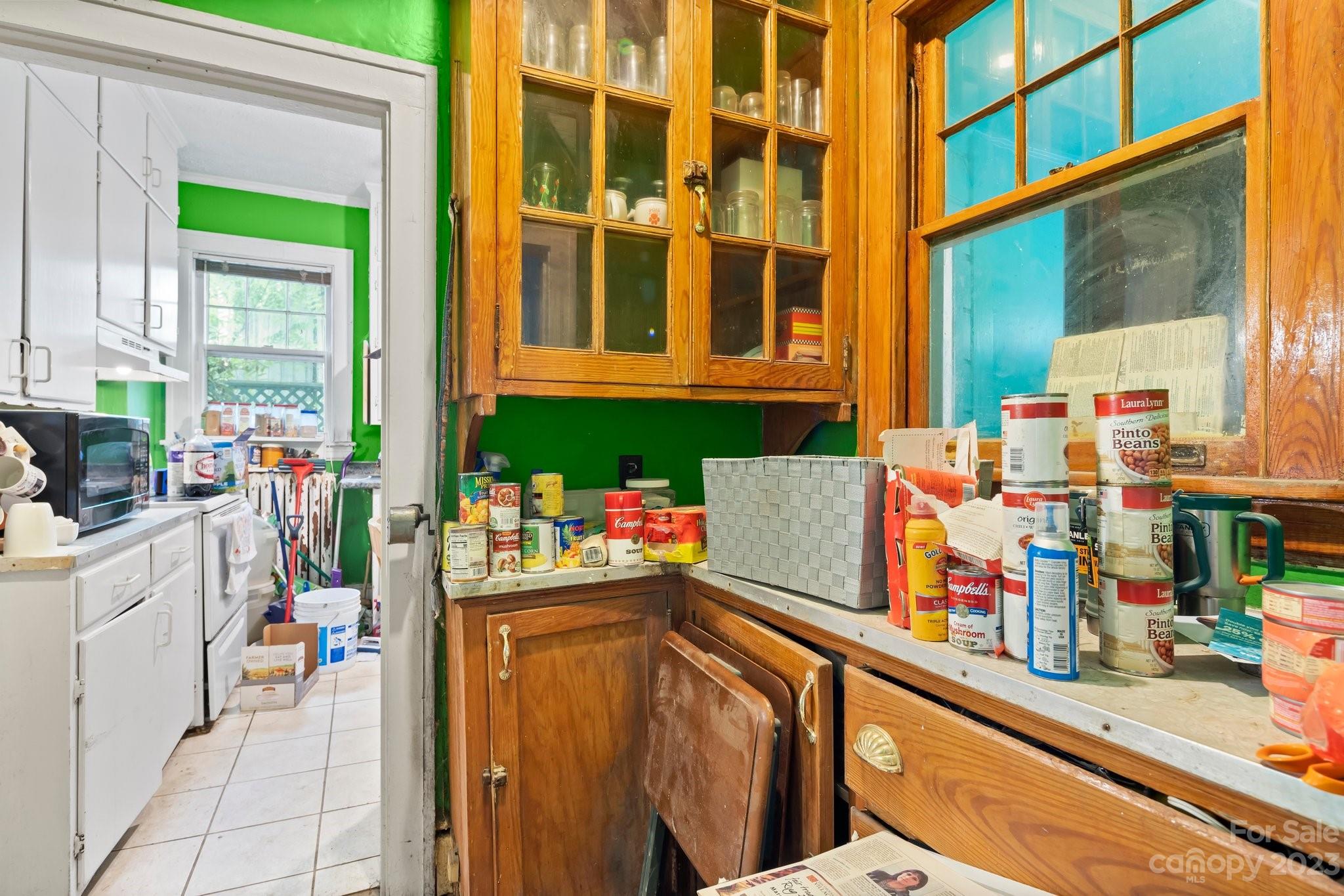 7 Vineyard Place Asheville NC 28804
