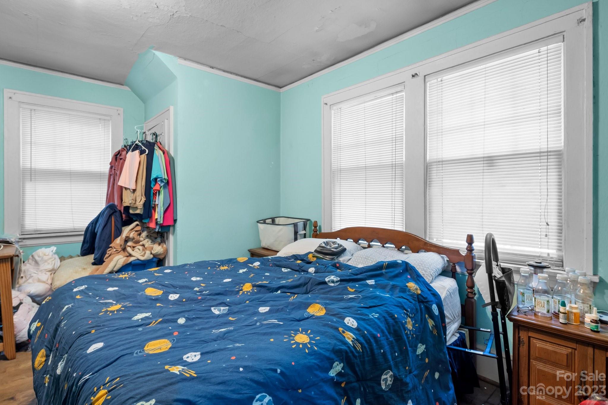 7 Vineyard Place Asheville NC 28804