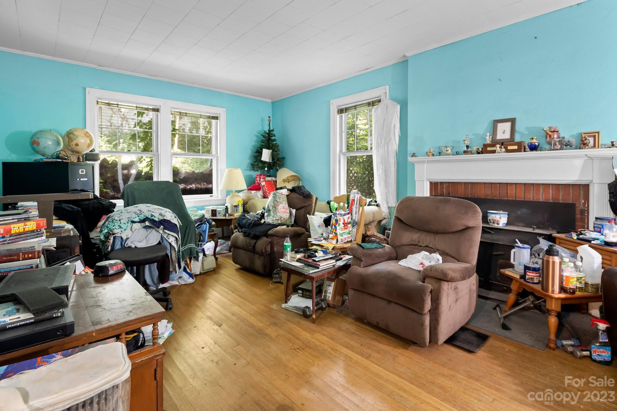 7 Vineyard Place Asheville NC 28804