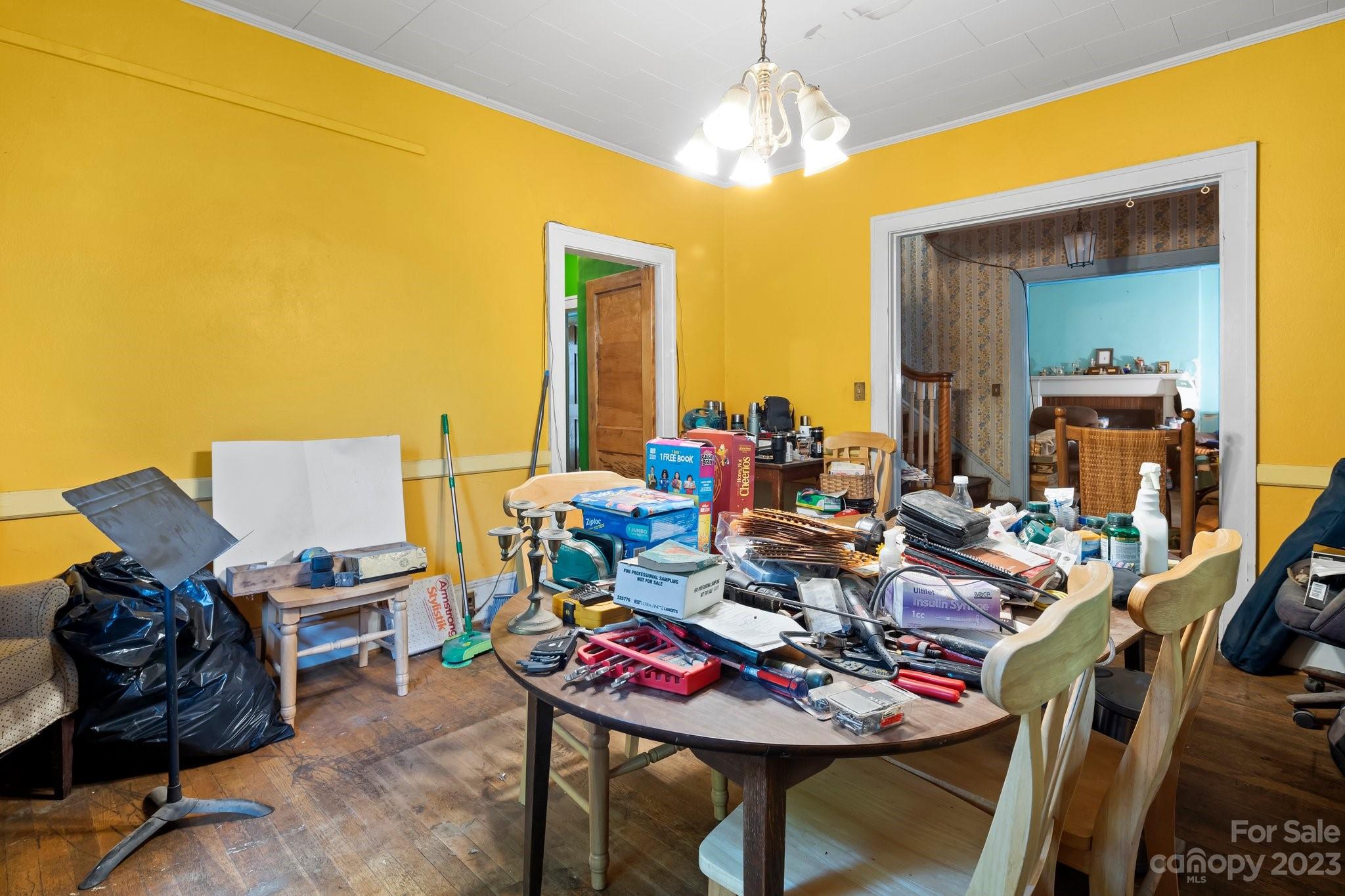 7 Vineyard Place Asheville NC 28804