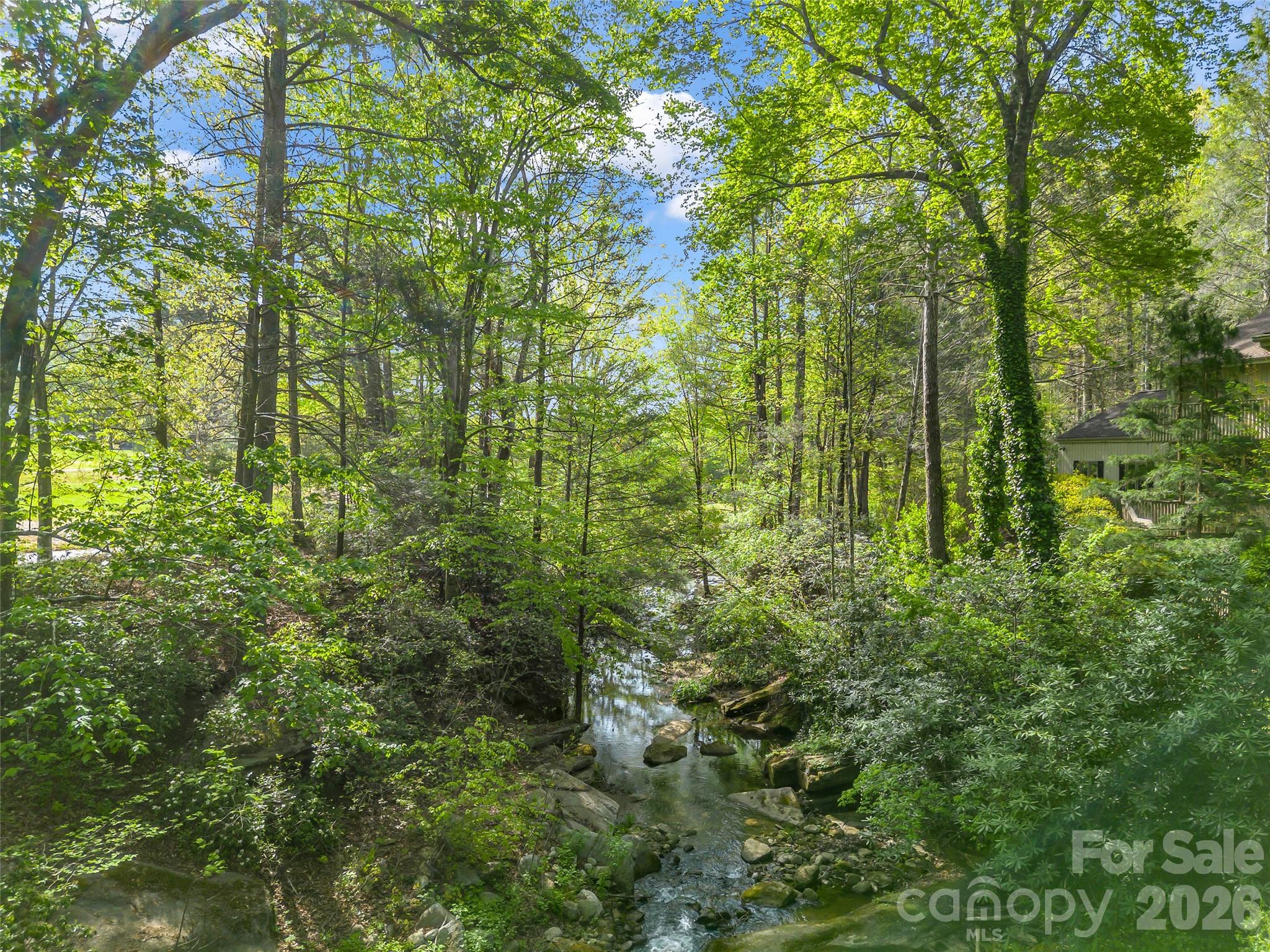 171 Fairway Drive Lake Lure NC 28746