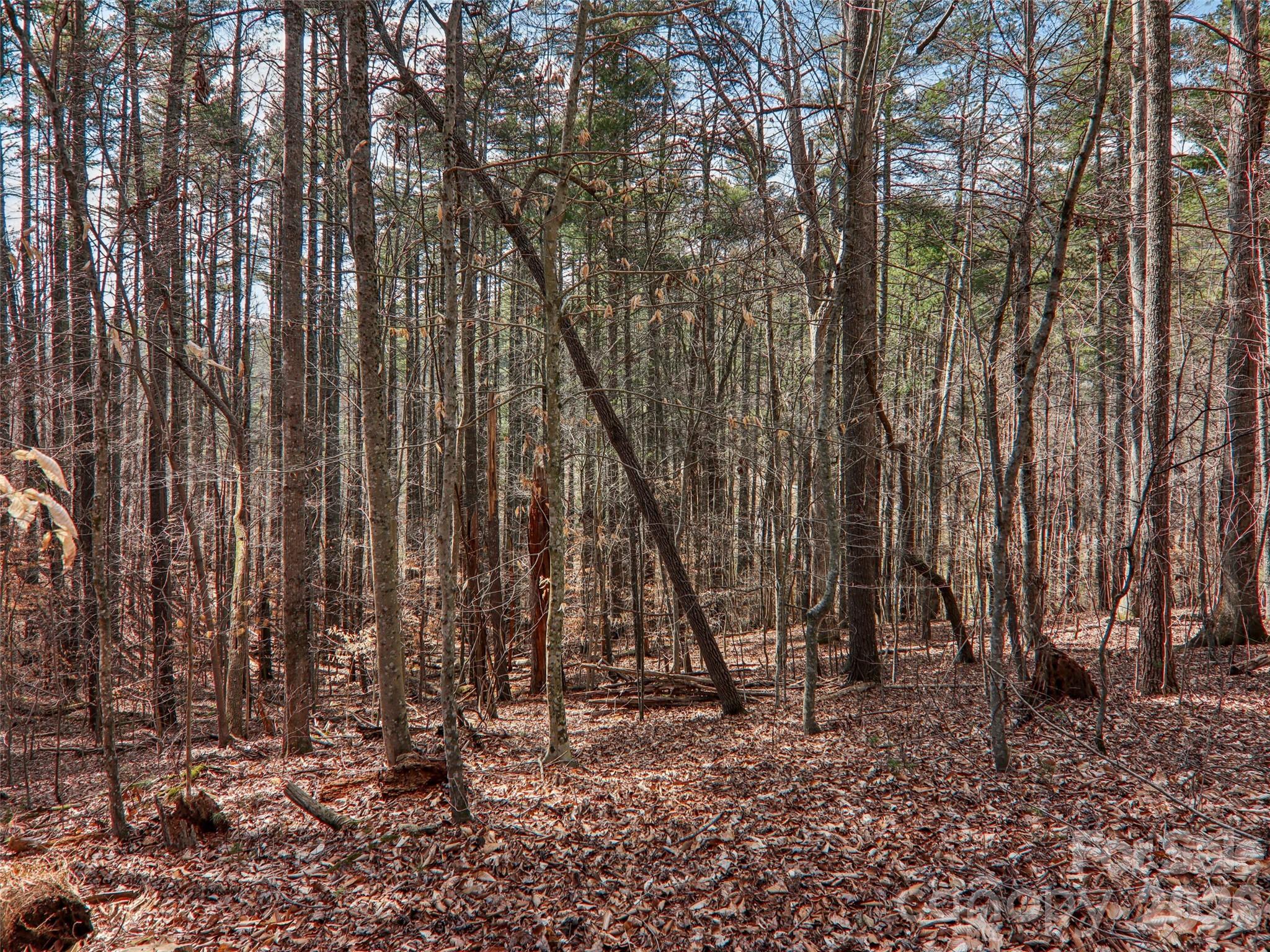 74 Woodson Drive Mars Hill NC 28754