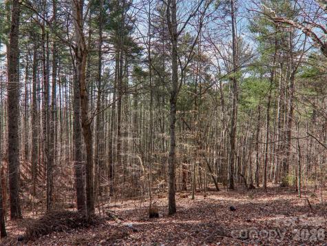 74 Woodson Drive Mars Hill NC 28754