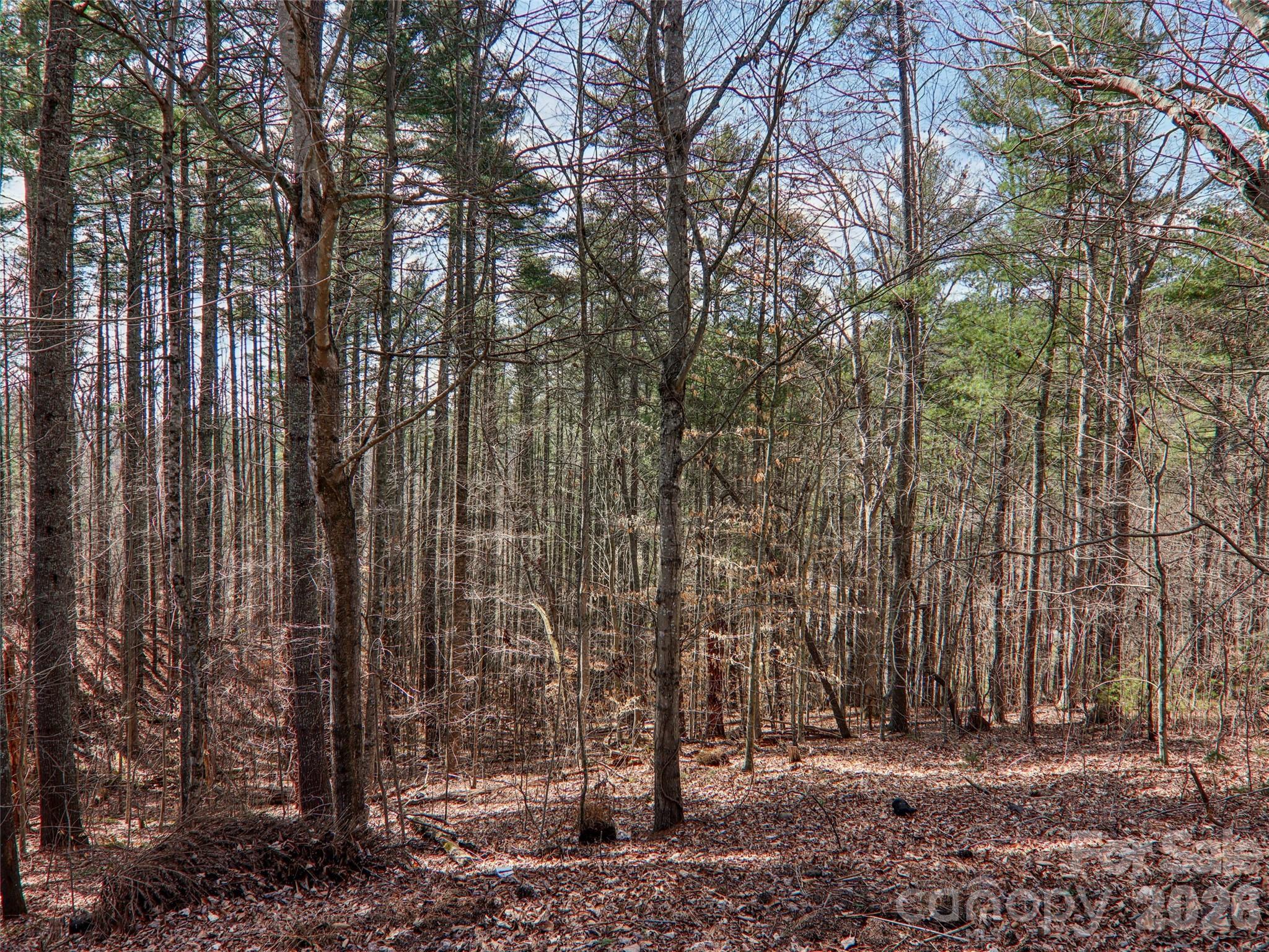74 Woodson Drive Mars Hill NC 28754