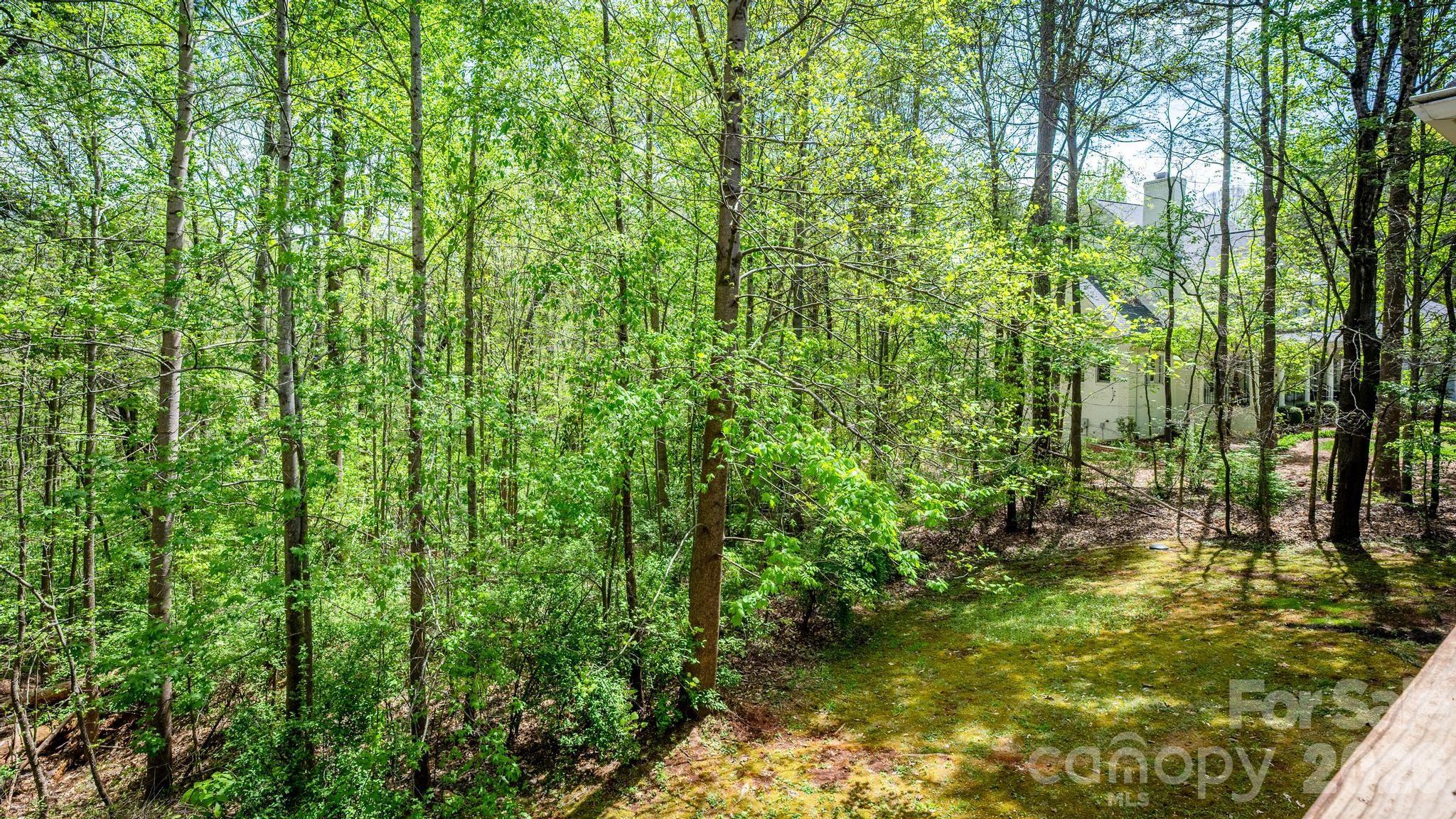 15610 Deerhaven Court Davidson NC 28036