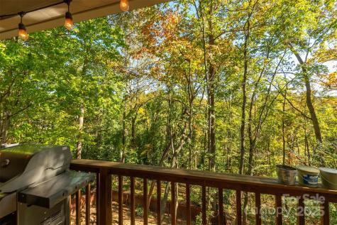 32 Foxberry Drive Arden NC 28704