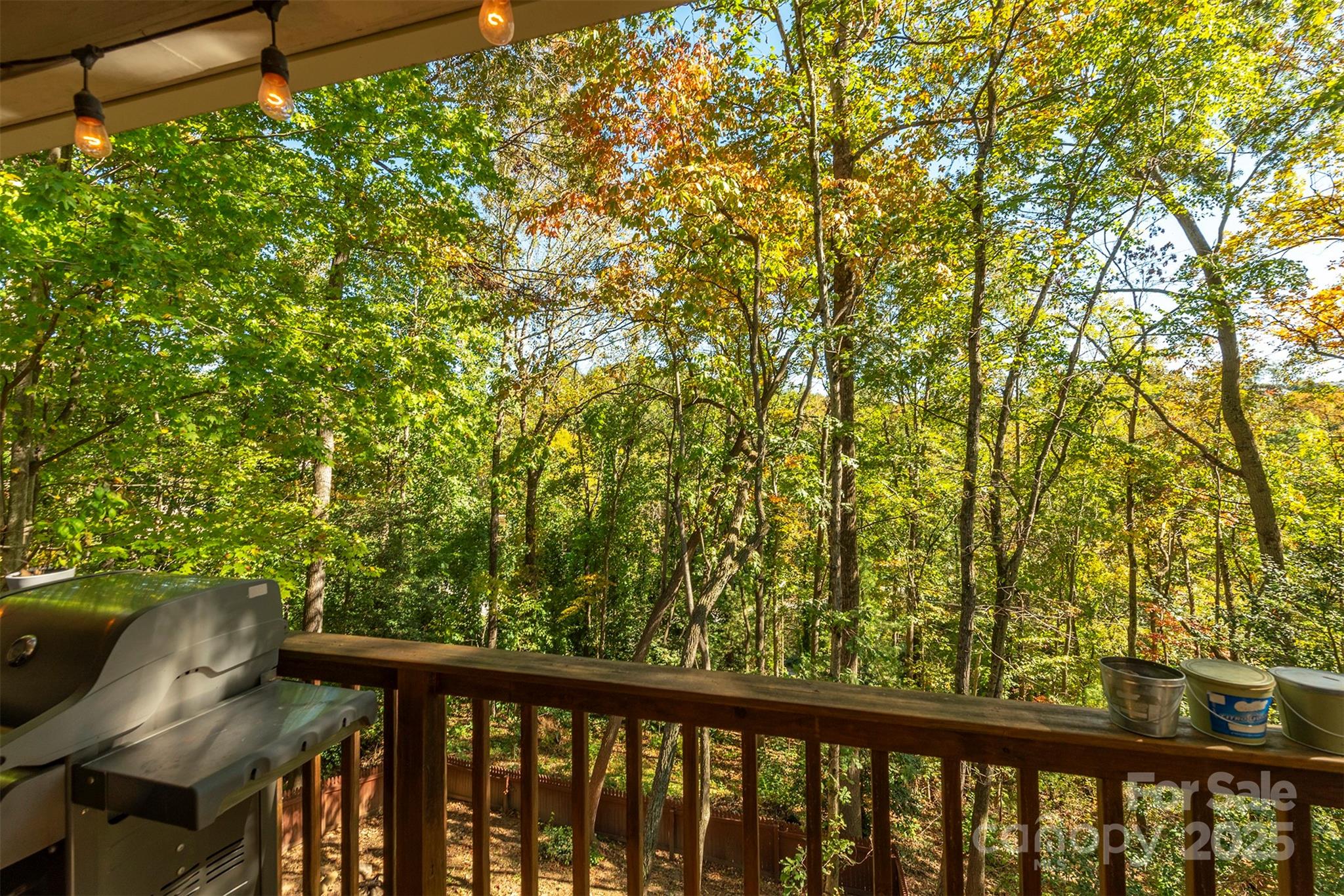 32 Foxberry Drive Arden NC 28704