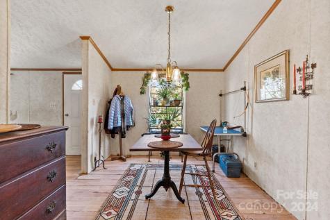 138 Tall Tree Drive Leicester NC 28748