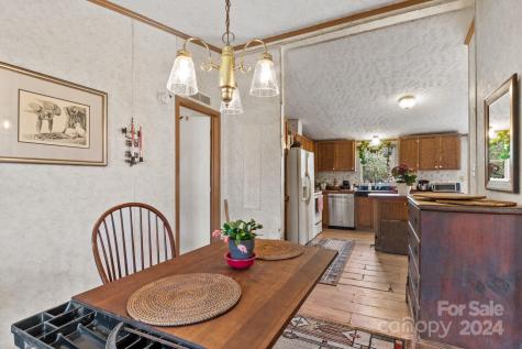 138 Tall Tree Drive Leicester NC 28748