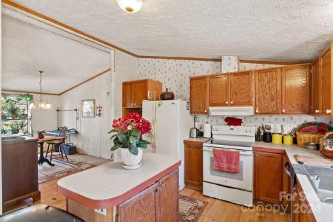 138 Tall Tree Drive Leicester NC 28748