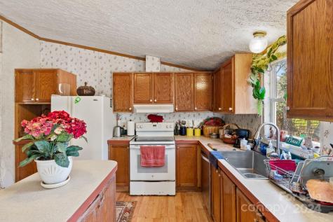 138 Tall Tree Drive Leicester NC 28748