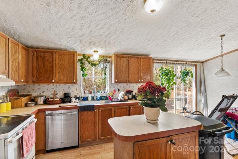138 Tall Tree Drive Leicester NC 28748