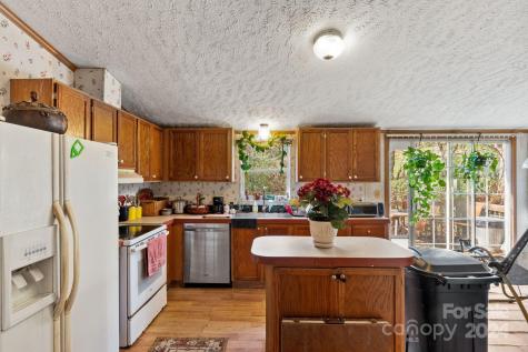 138 Tall Tree Drive Leicester NC 28748