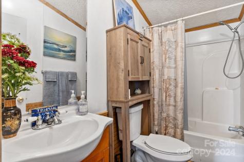 138 Tall Tree Drive Leicester NC 28748