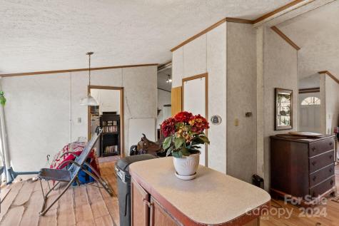 138 Tall Tree Drive Leicester NC 28748