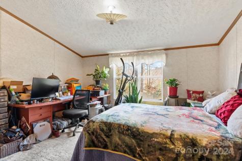 138 Tall Tree Drive Leicester NC 28748