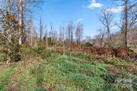 138 Tall Tree Drive Leicester NC 28748