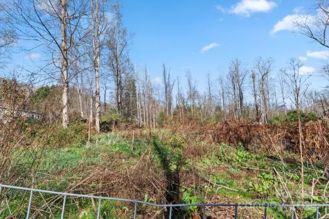138 Tall Tree Drive Leicester NC 28748