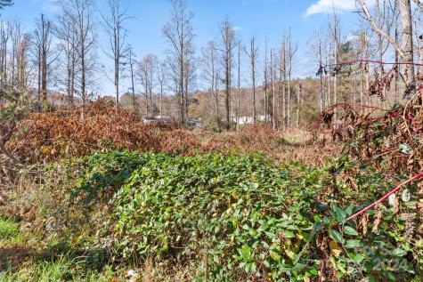 138 Tall Tree Drive Leicester NC 28748