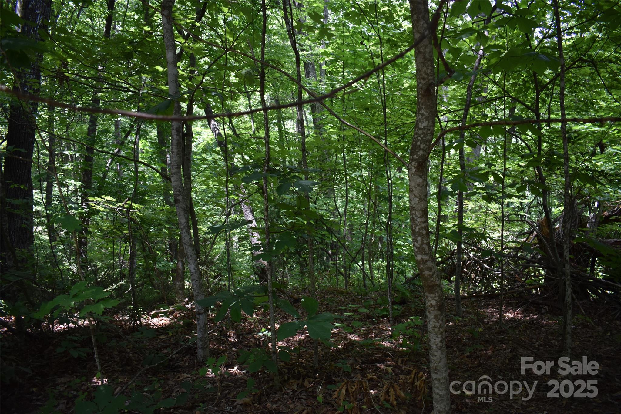 50 Firefly Springs Lane Candler NC 28715