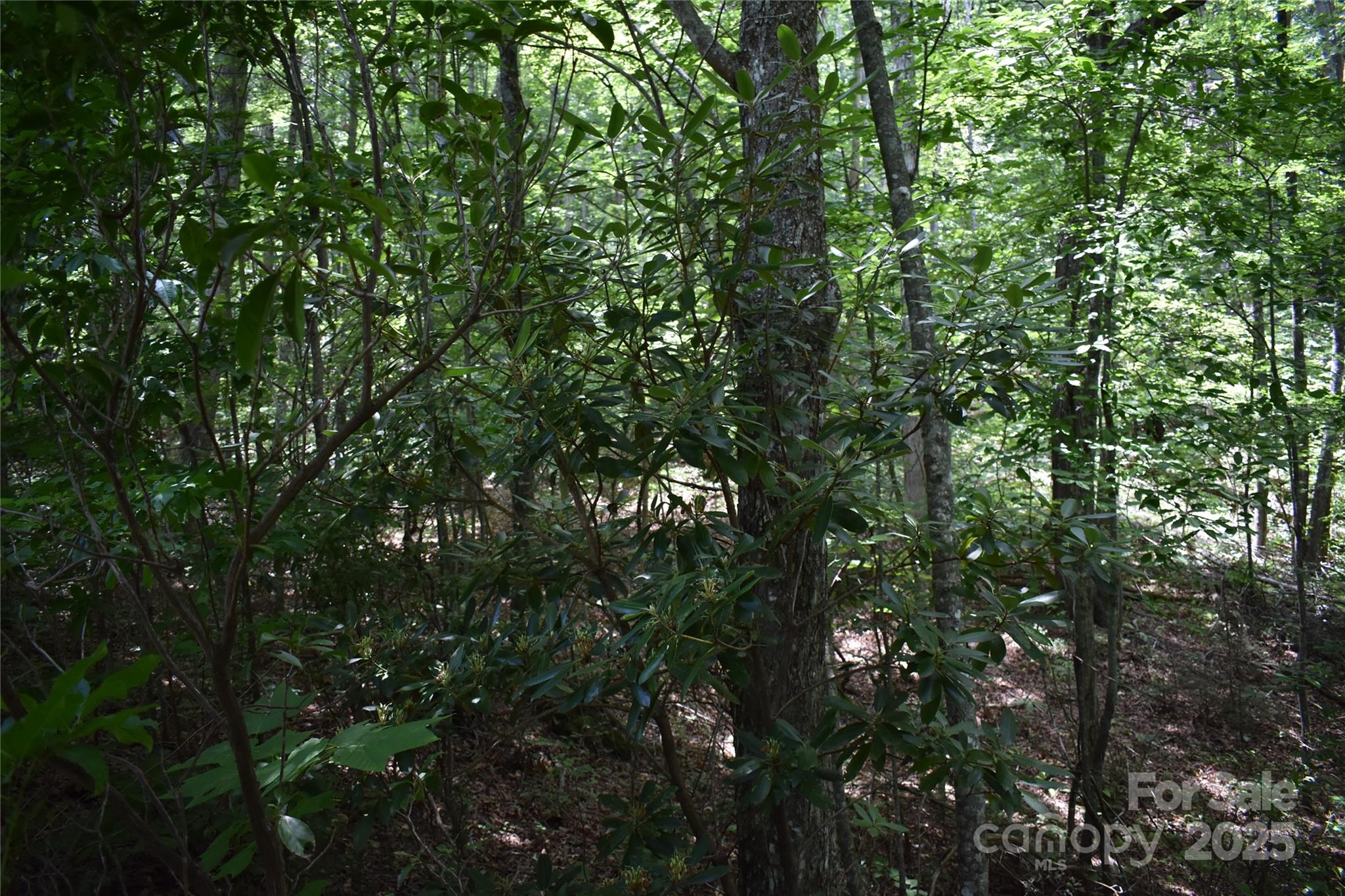 50 Firefly Springs Lane Candler NC 28715