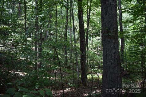 50 Firefly Springs Lane Candler NC 28715