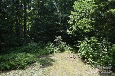 50 Firefly Springs Lane Candler NC 28715