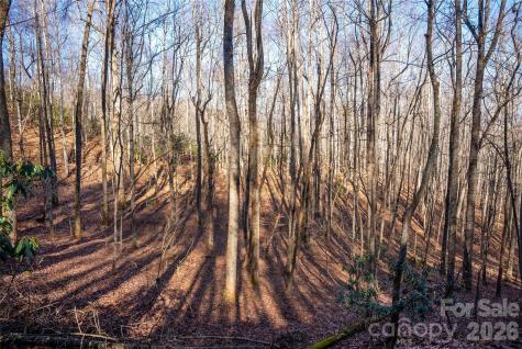 370 Moons Rest Lane Brevard NC 28712