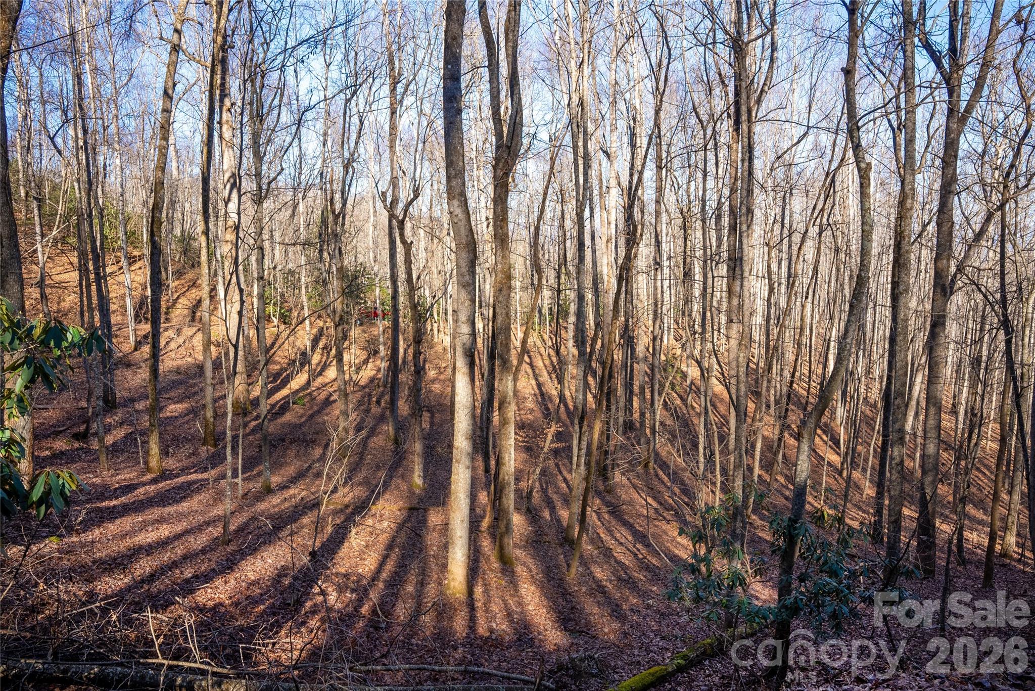 370 Moons Rest Lane Brevard NC 28712