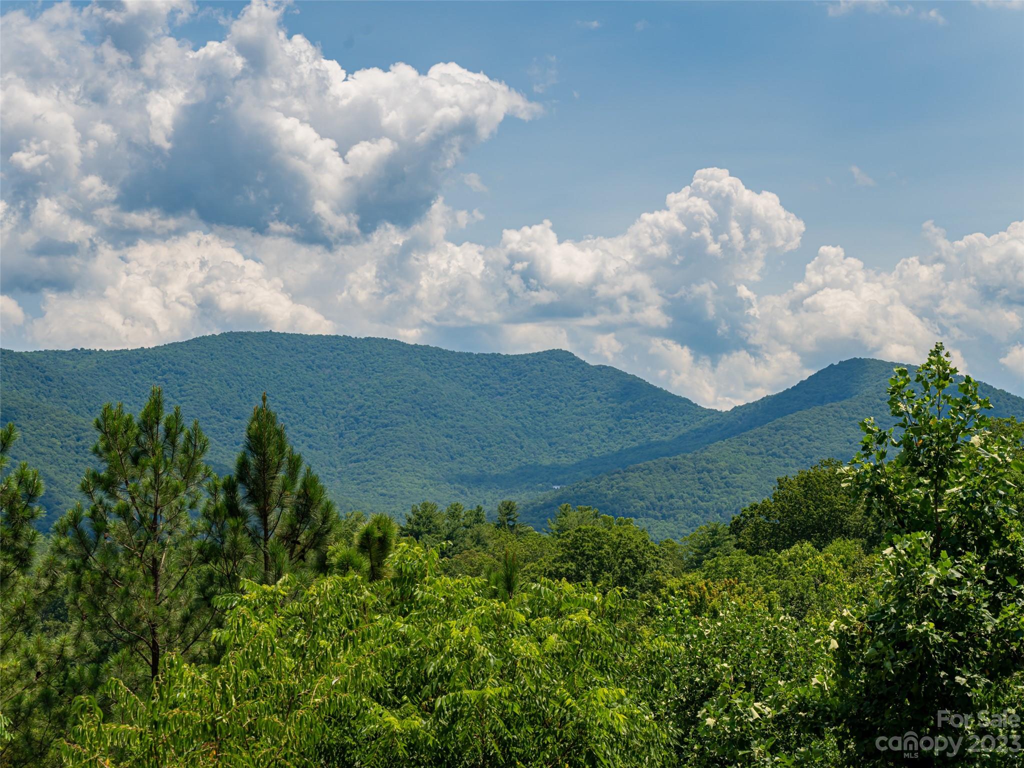 28 Clear Vista Drive Asheville NC 28805