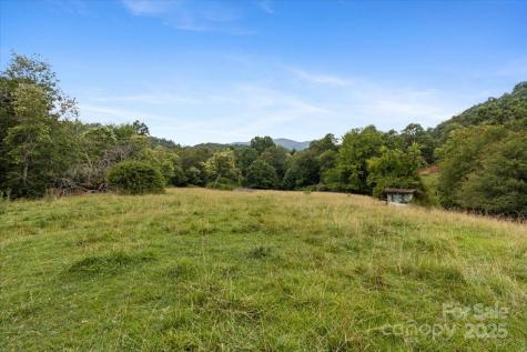 Black Mountain NC 28711