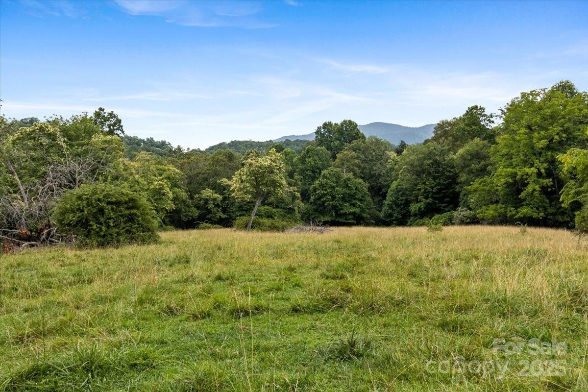 Black Mountain NC 28711