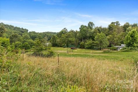 Black Mountain NC 28711