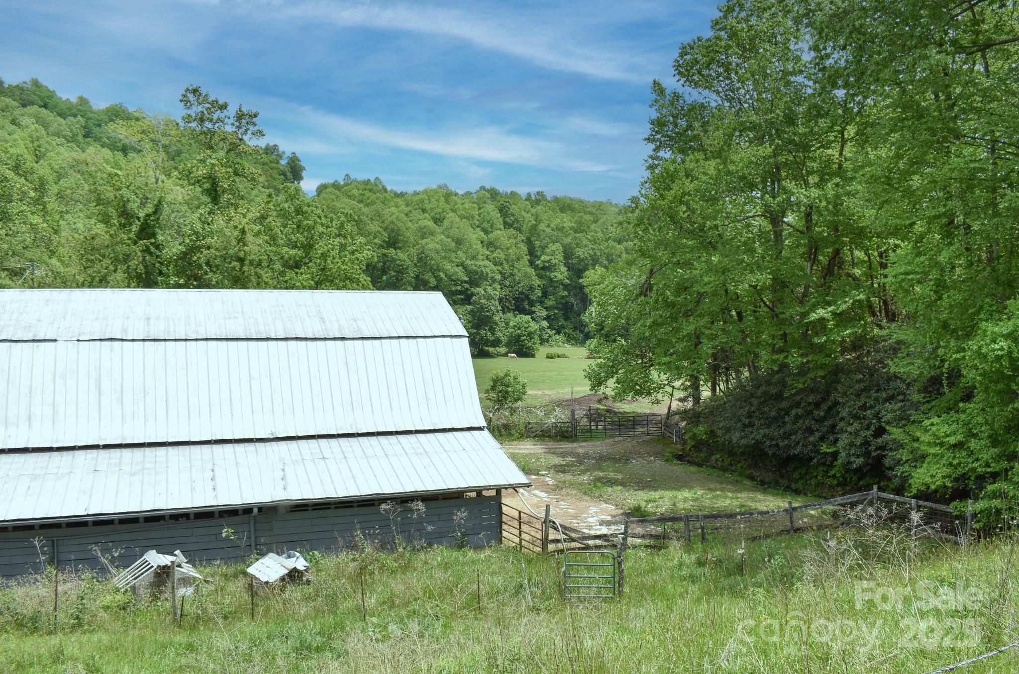 Black Mountain NC 28711