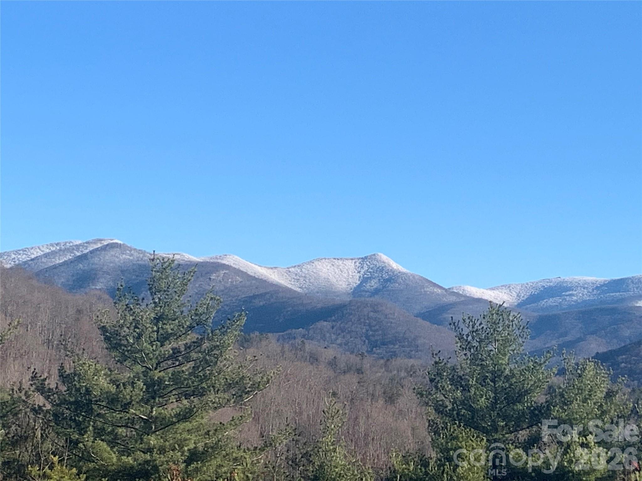 31 Bear Den Road Asheville NC 28805